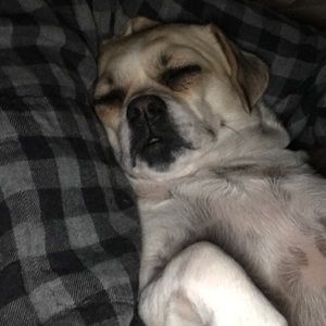 Meet your Posher, Noah